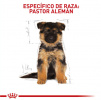 German Sheperd Puppy